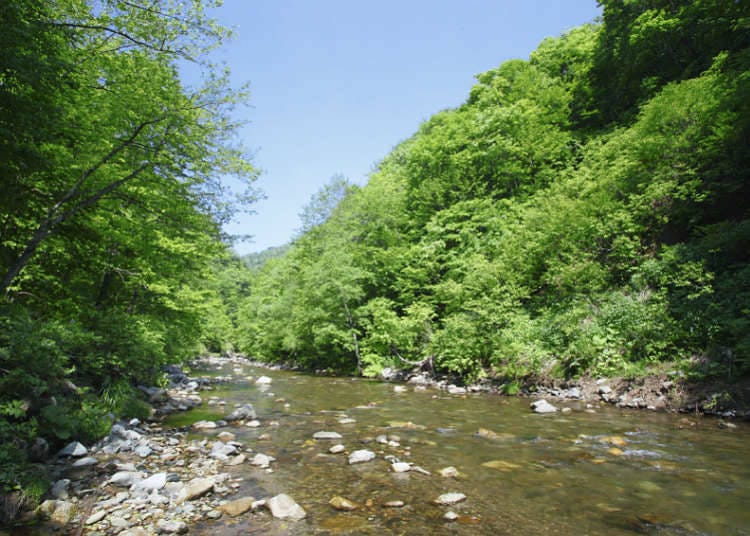 Mountains that are natural heritages