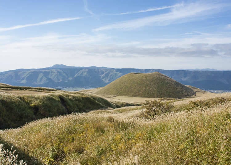 Museum where you can experience natural science