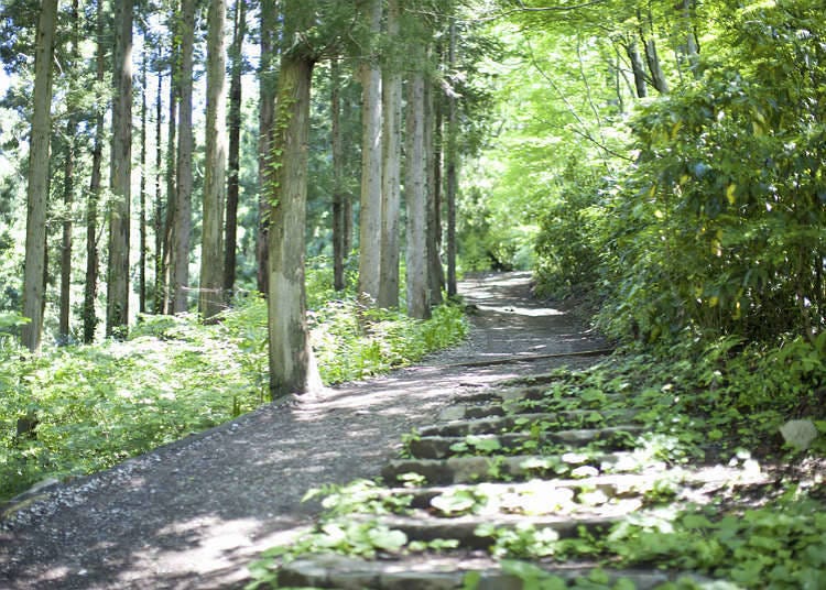 山中的自然休閒活動