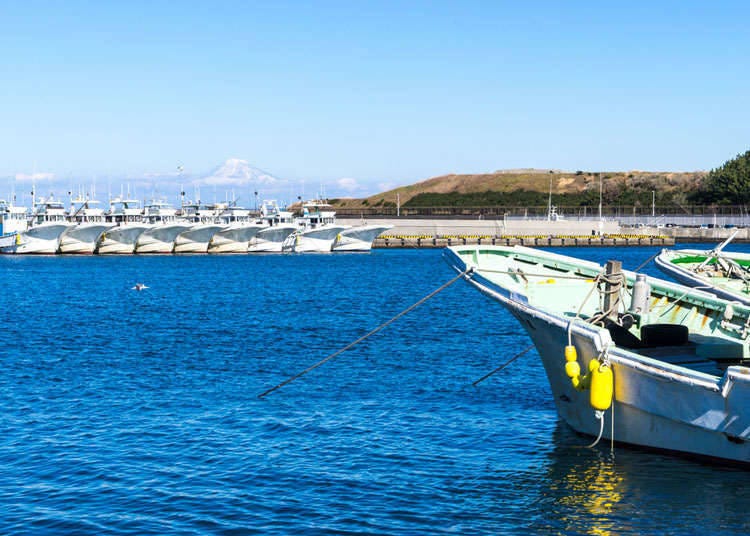 Marine Sports in Japan