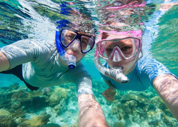 Snorkeling and Scuba Diving in Japan
