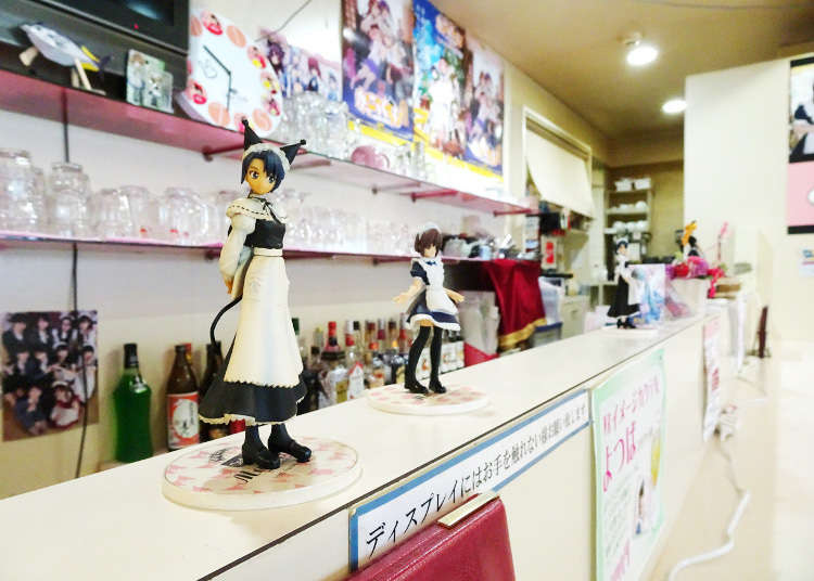 A Cozy Maid Café Outside Akihabara