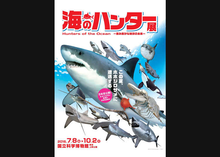 Poster image: Kitakyushu Museum of Natural History & Human History, National Museum of Nature and Science, Tokyo, Mie Prefectural Museum, Ibaraki Nature Museum