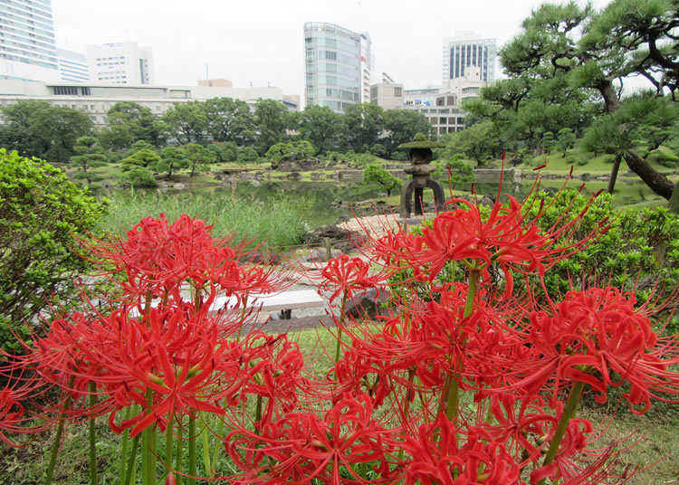 Tokyo Metropolitan Park Association