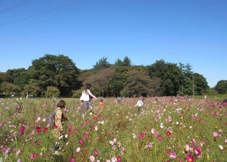 公益財団法人東京都公園協会