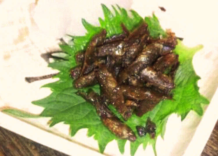 지비에(사냥한 동물을 식재료로 한 고기) 이자카야(일본식 주점)의 숨은 인기 메뉴