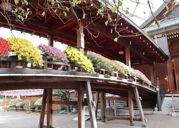 Image courtesy of Bunkyo-ku
