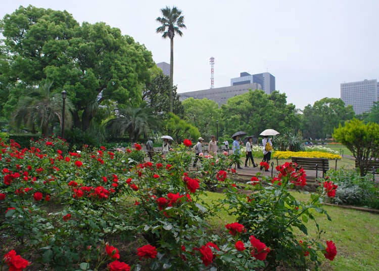 1. Hibiya Park: An Oasis of Roses in the Middle of a Business District