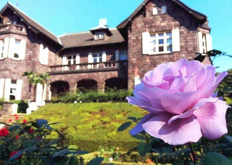 東京秋天景點⑤「舊古河庭園」洋房與玫瑰花交織成美麗景觀