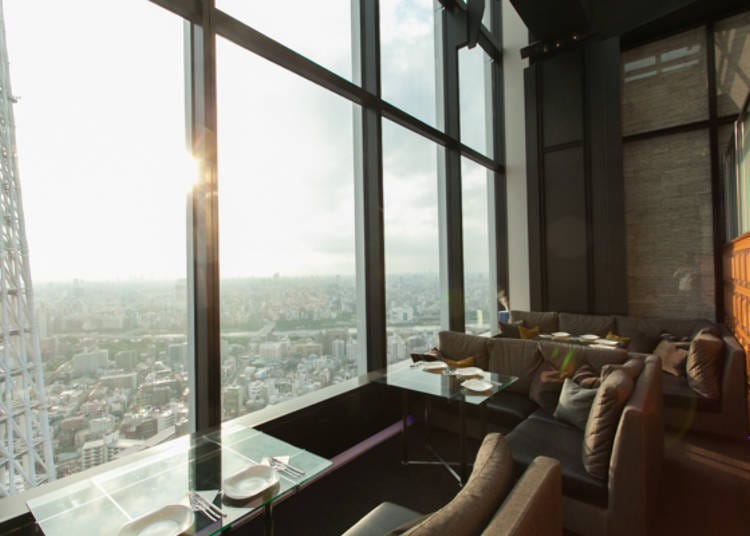 Gazing over the City with Mount Fuji in the Distance