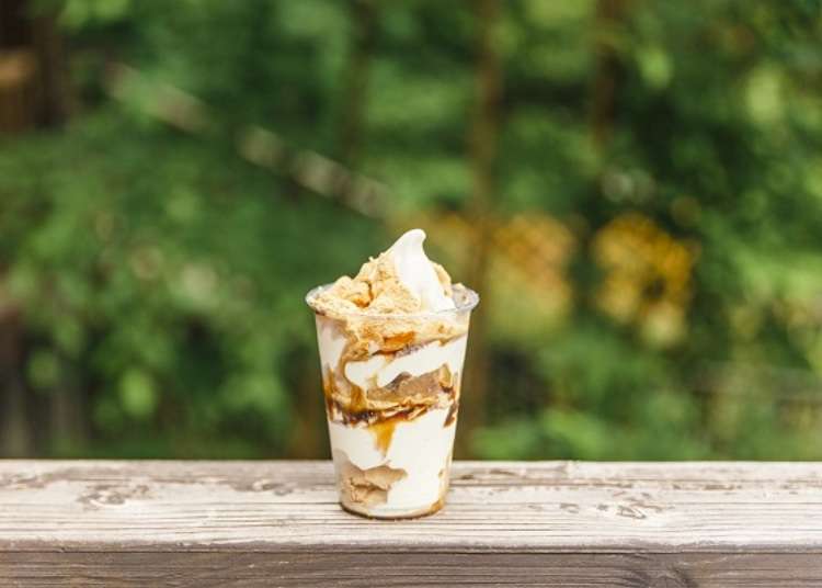 Tasty Mount Fuji: Treat Yourself to Ice Cream and Souvenirs!