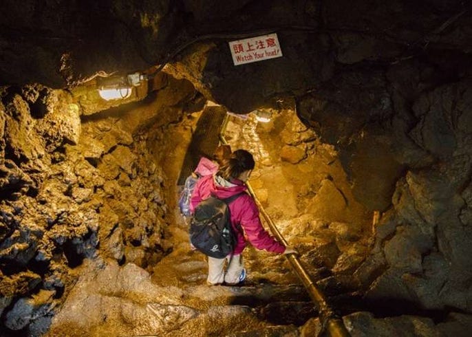 富士山秘境之旅 探遊熔岩洞窟與青木原樹海 Live Japan 日本旅遊 文化體驗導覽