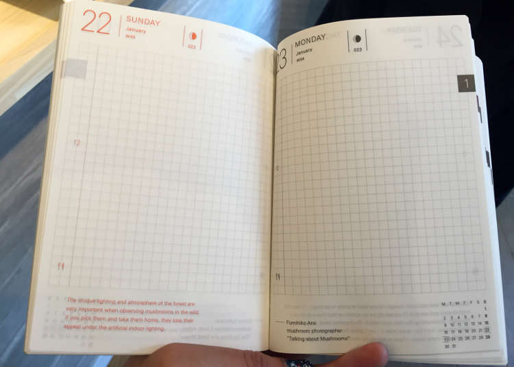 What Makes Up a Hobonichi Techo