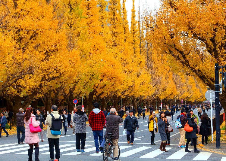 【2022年】東京＆関東近郊の紅葉名所16選！秋色の絶景を見に行こう