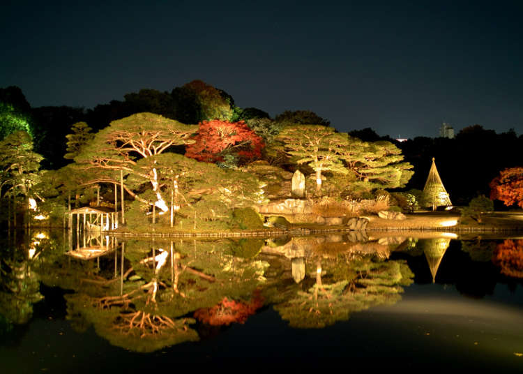 7. Rikugien Gardens: A beautifully lit up Japanese garden