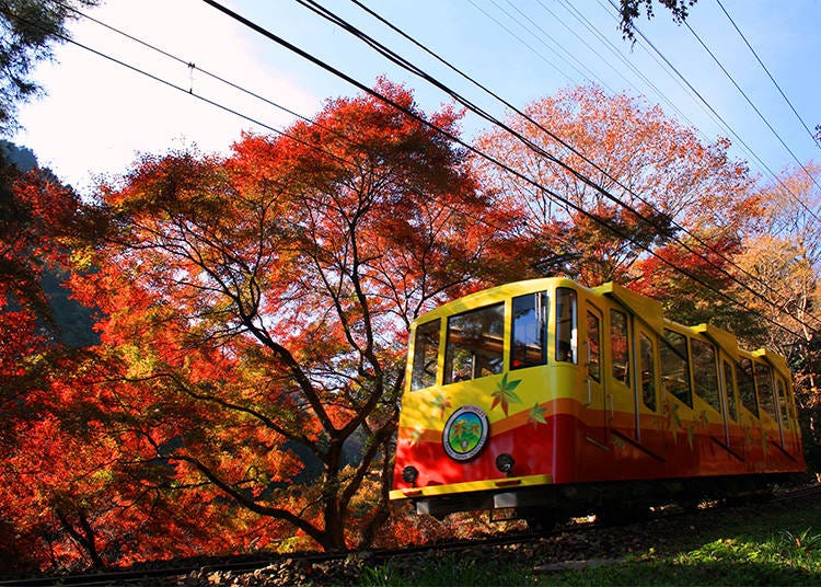 11. Mount Takao: Ascend through a colorful tunnel