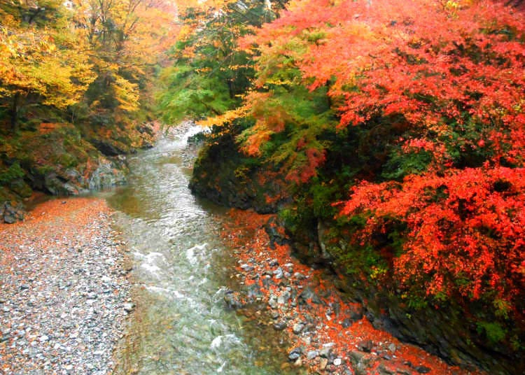 12. Hikawa Valley: Take an autumn stroll along a clear stream