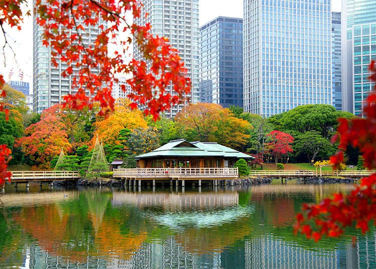 Tokyo Metropolitan Park Association