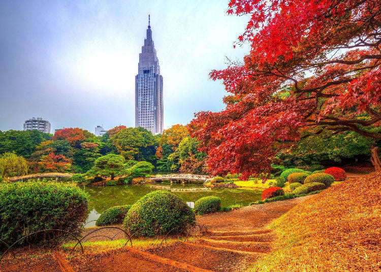 4. Shinjuku Gyoen National Garden: Experience autumn in three unique gardens
