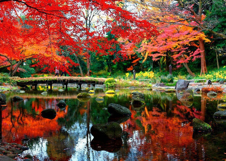 6. Koishikawa Korakuen Gardens: Exceptional and traditional autumn scenery