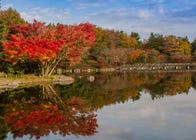 japan places to visit in autumn