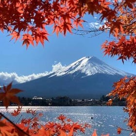 Mt. Fuji & Lake Kawaguchi Autumn Maple Day Tour from Tokyo
(Image: Klook)