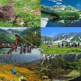 2D1N Kamikochi & Tateyama Kurobe Alpine Route Tour
Details & Bookings ▶
(Image: Klook)