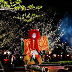 Nikko Autumn Foliage & Edo Wonderland with Fireworks Day Tour
Details & Bookings ▶
(Image: Klook)