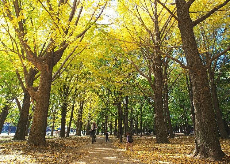 提供：公益財団法人東京都公園協会