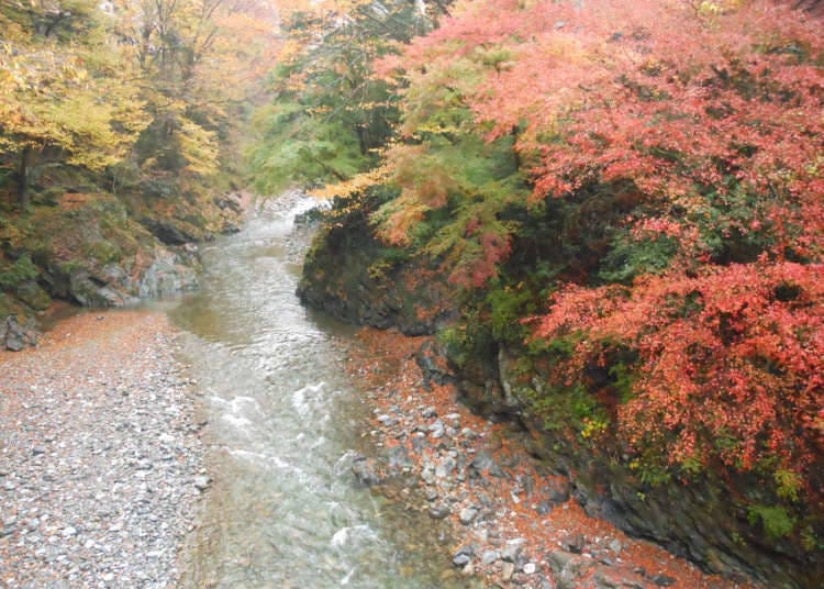 히카와 계곡 - 맑은 물과 단풍을 즐기며 산책