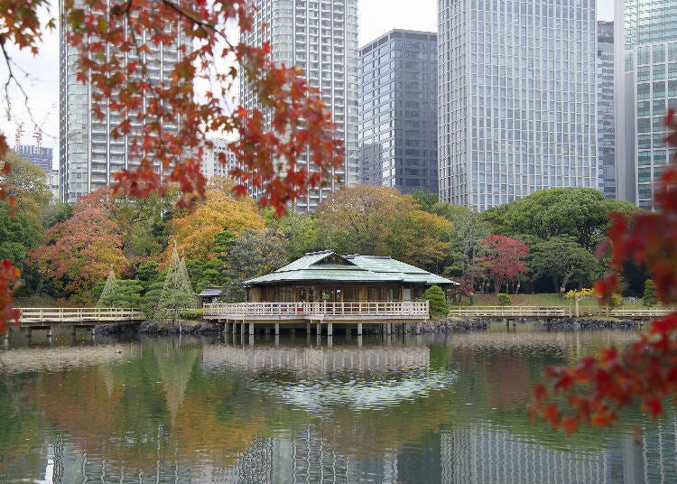 제공:공익재단법인 도쿄도 공원협회