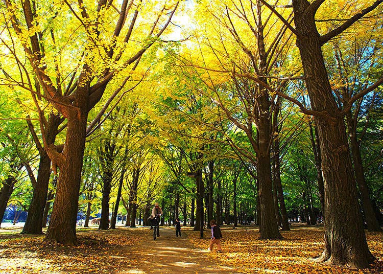Photo courtesy of the Tokyo Metropolitan Park Association