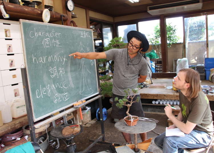 Knowing More About Bonsai Culture in Japan