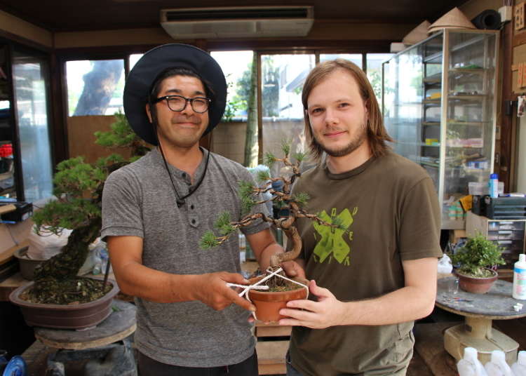 Bonsai: A Collaboration Between Nature and Imagination