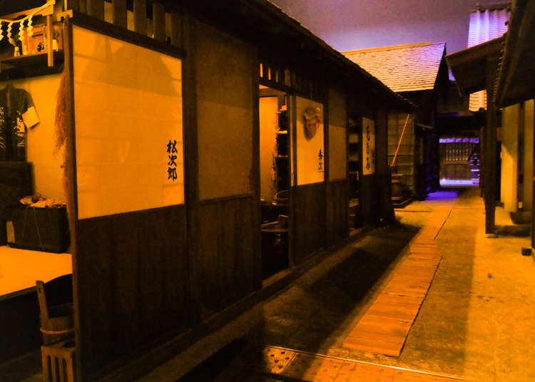 Walk the Alleys of Edo in Traditional Japanese Style