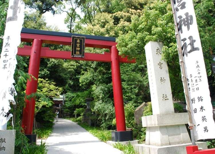 熱海的能量景點 power spot 來宮神社四周的散策行程 live japan 日本旅遊 文化體驗導覽