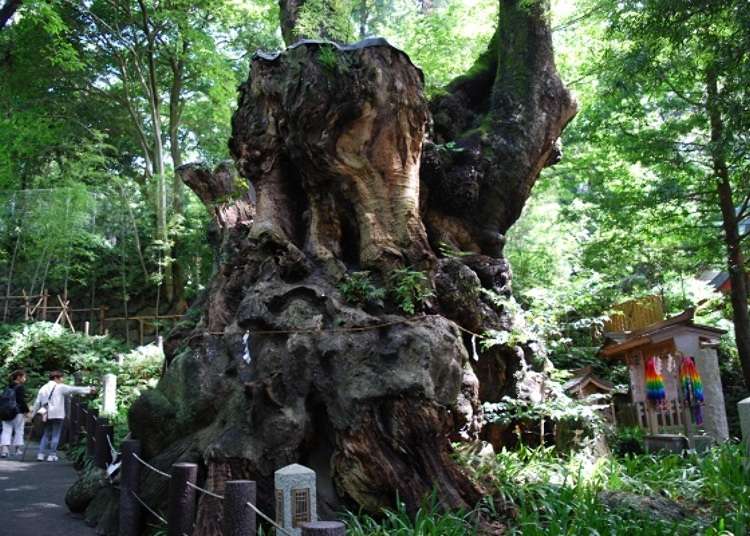 Offering prayers at a spiritual place