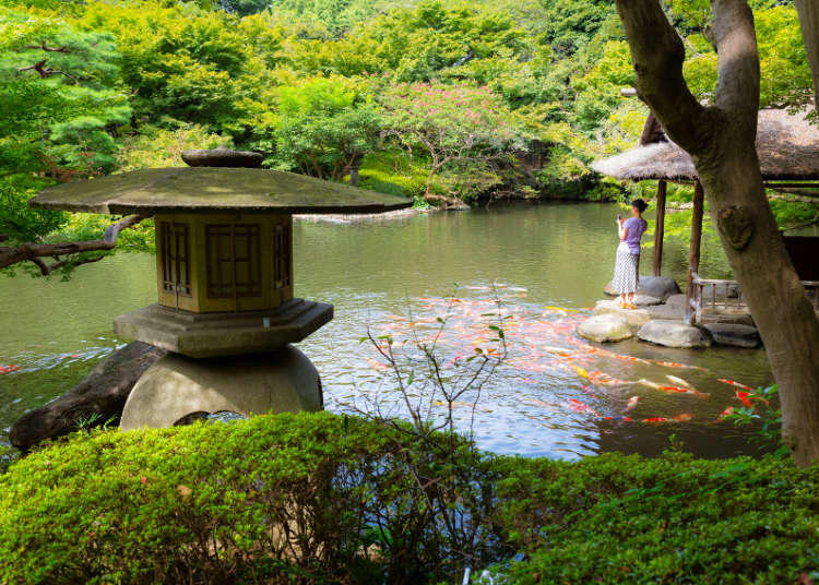 拥有美丽日本庭园的八芳园