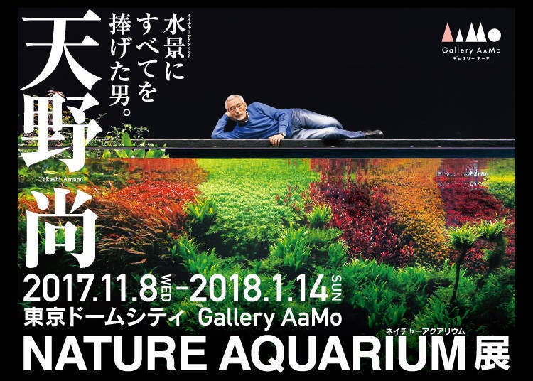 天野尚 NATURE AQUARIUM展