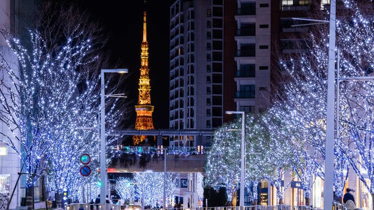 Brighten Up Your Winter: 14 of the Best Tokyo Illuminations for 2022