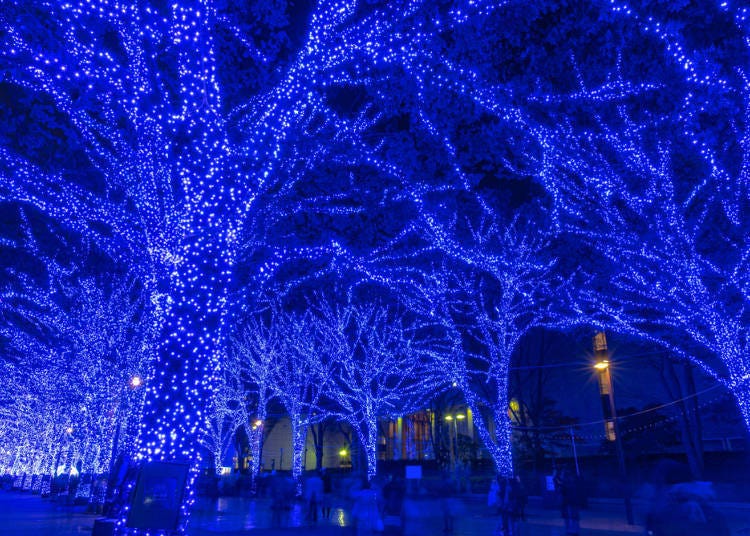 12. Shibuya Blue Cave: Featuring Christmas Cards for the First Time in 3 Years