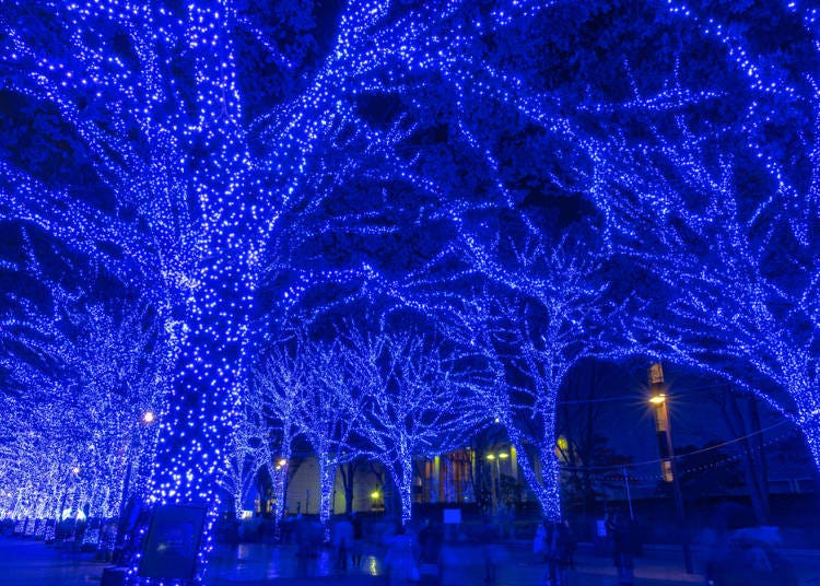 12. 3年ぶりの開催となる2022年はクリスマスカードが設置「青の洞窟 SHIBUYA」