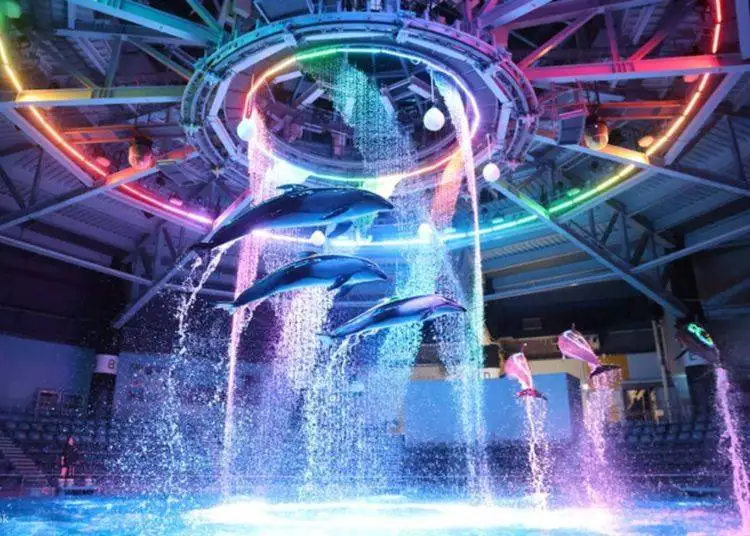 15. 스타 아쿠아리움 바이 네이키드/(STAR AQUARIUM by NAKED 2025 (시나가와)