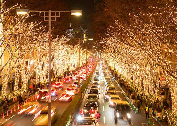12. 90万个星点照亮整条榉木林道「表参道ILLUMINATION」【2020年取消】