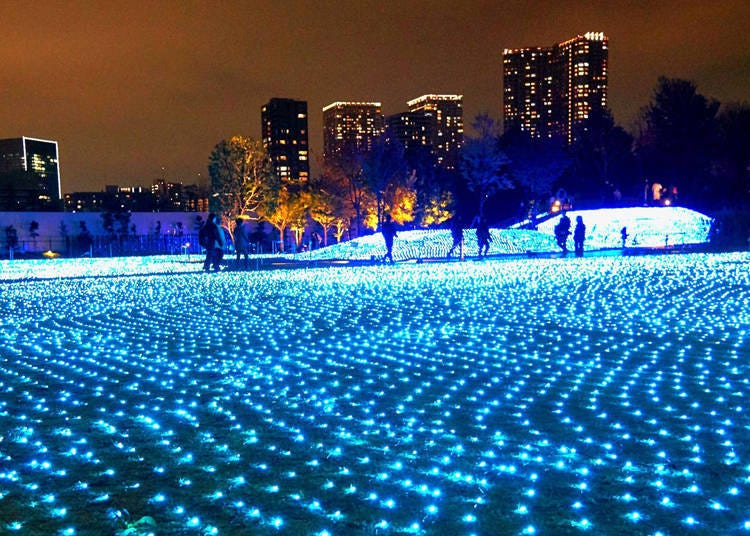 14. 以東京鐵塔為背景的夢幻藍色地毯「品川Season Terrace Illumination」