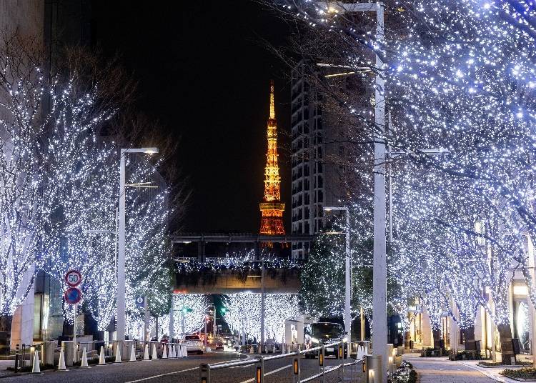 5. 六本木hills的冬季風情「Roppongi Hills Christmas 2024」