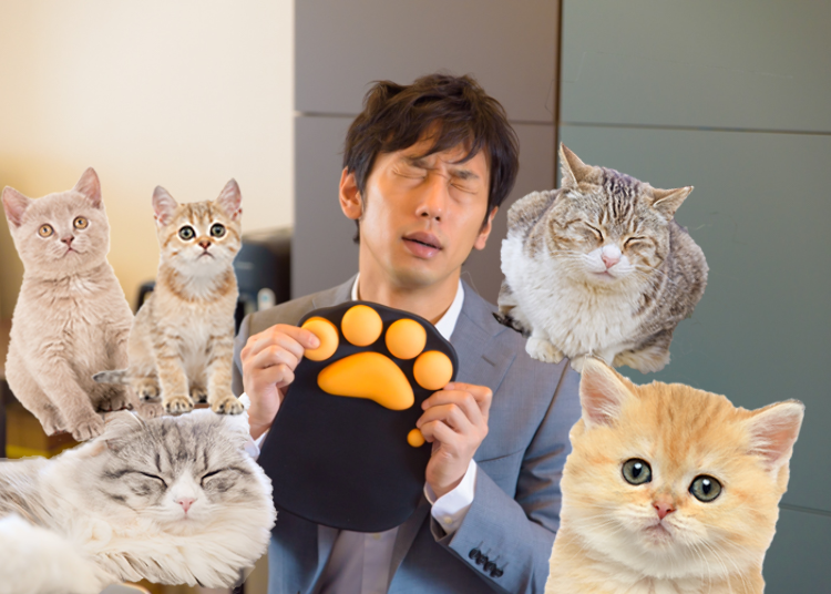 日本の猫好きは凄すぎ 猫のおでこの香りに包まれたりと 猫グッズまみれで1日を過ごすと最高に癒された Live Japan 日本の旅行 観光 体験ガイド