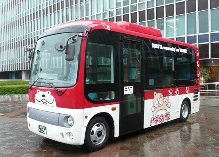 Hachiko Bus - Shibuya Sightseeing, the Comfortable Way