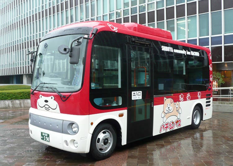 乘坐巴士飽覽澀谷的魅力！