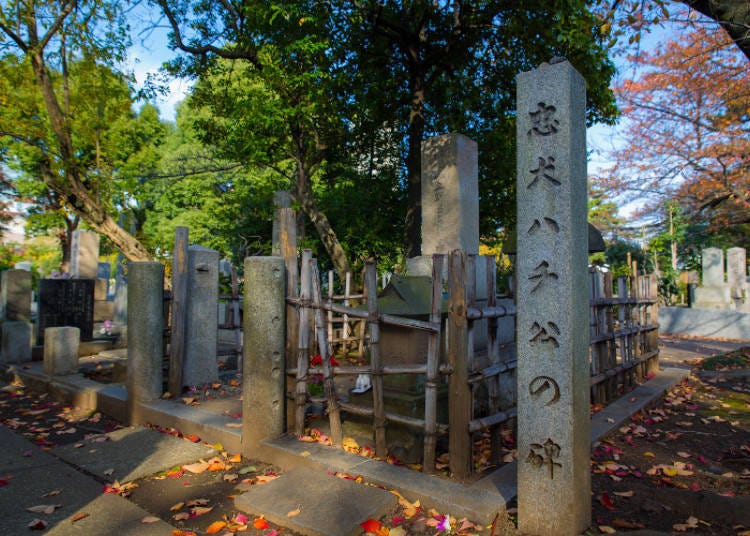 Hachiko and His Companion, Professor Ueno